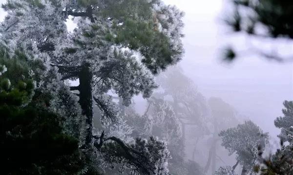 探索问答世界,尽在一家人很幸福,应该用什么词语表示,四个字!蜗牛问答平台