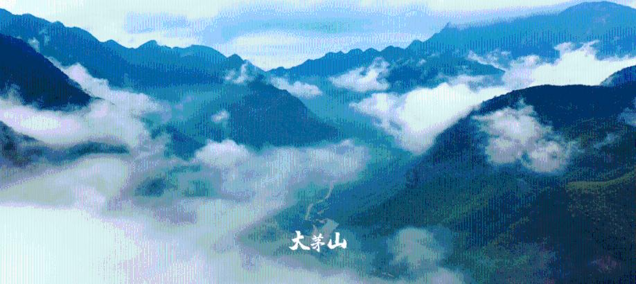 逃离废弃的城堡
